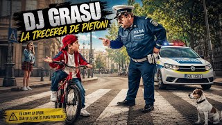 DJ Grasu - Pe trecerea de pietoni ( 2026 HIT )
