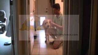 SDV_0401_mpeg1video.avi