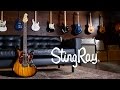 Ernie ball music man stingray guitar