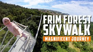 FOREST SKYWALK FRIM - A STUNNING VIEW FROM TOP!