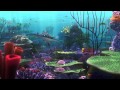 Alla Ricerca Di Nemo Il Maestro Ray Clip Dal Film Alla Ricerca Di Nemo Il Maestro Ray Clip Dal Film