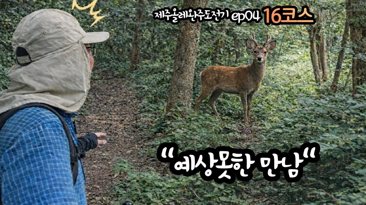 [제주여행의 클래식 애월바다를 지나 중산간올레로 이어지는 길 ㅣ제주올레 완주 도전기ㅣ올레16코스] - EP04