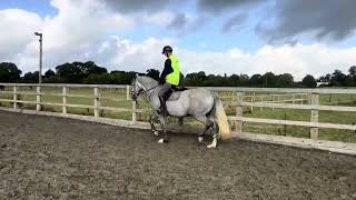May flatwork video 19/9/23