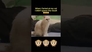 Download Lagu jahat kau verguso MP3