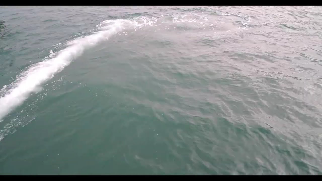 Netarts drone flight sunset 1 10 2025