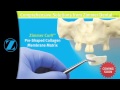 Zimmer Products Future Technologies in Implant Dentistry