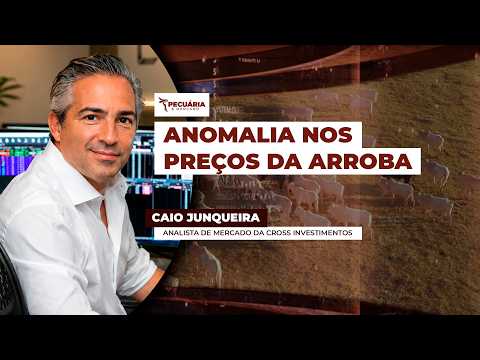 Pressão do boi em SP é diferente do que acontece em MT