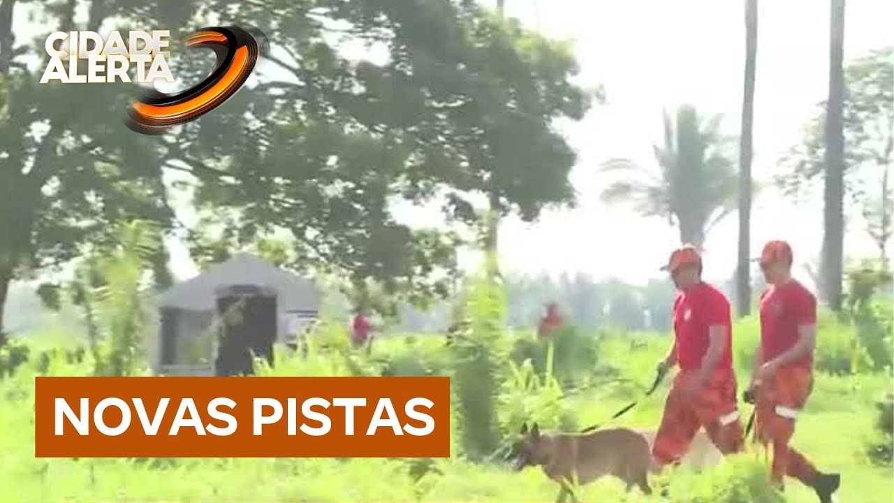 Cães farejadores sentem o cheiro das crianças desaparecidas em Bacabal (MA)