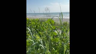 What Makes Brevard County Beach Living Special?