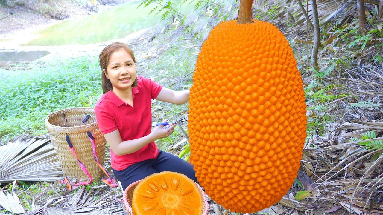Harvesting Many Giant Red Jackfruit Goes To Market Sell,Jackfruit Yogurt Recipe |Diem-Free Bushcraft