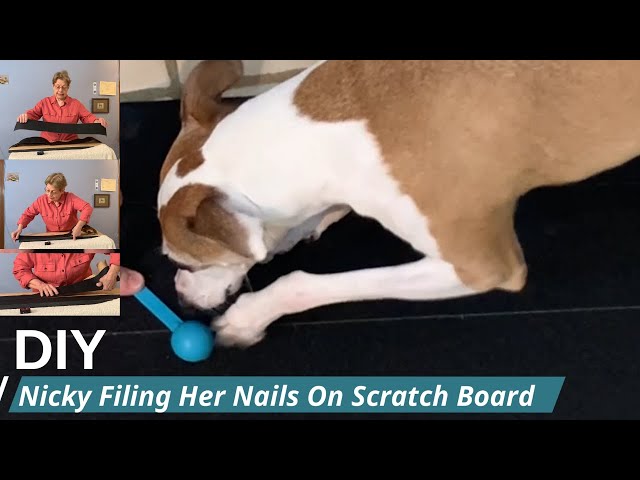 Hond Scratch Board | Nail Trim Pad Pull-Out Houten Huisdier Scratcher