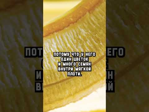 Банан — не