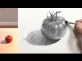 Still Life #30 - How to Draw a Tomato for Beginners