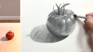 Still Life #30 - How to Draw a Tomato for Beginners Still Life #30 - How to Draw a Tomato for Beginners