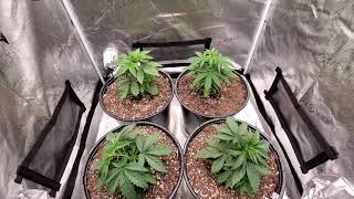 Jutro Lst I Zmiana Na 1212