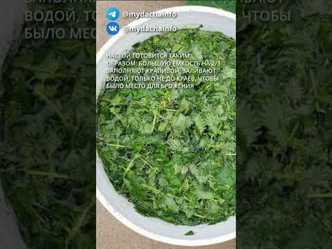 ОСЕННЕЕ УДОБРЕНИЕ ДЛЯ