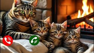 Ringtone 😿notification😻 2025  Happy family Calling Zarweel#mi #ringintone #shorts 