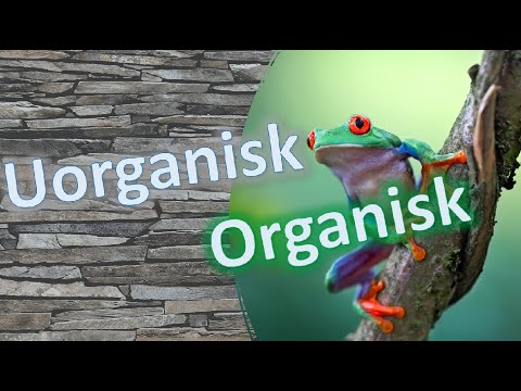 Video: Hvad er forskellen mellem organisk materiale og organisk materiale?
