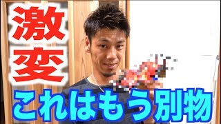 もはや別物！徳ちゃんのカスタム！