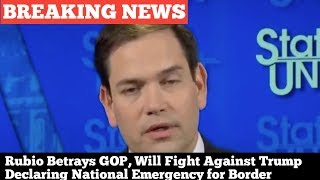 Rubio Betrays GOP, Will Fight Against Trump Declaring National Emergency for Border Wall