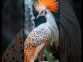 Nature's Symphony: Calming Birdsongs for Meditation