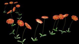 Maya: Animated Paint Effects Flowers