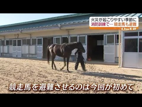 厩舎火災を防ぐ！今日から始める7つの防火対策と避難計画