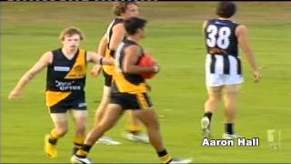 Aaron Hall Highlights