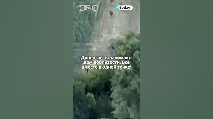 ВСУ бегут из кустов у Курской границы от первого удара русских