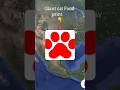 I Found Giant cat Food print🐾🤯onGoogle maps and google earth #shorts #viralshorts #Earth location