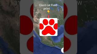 I Found Giant cat Food print🐾🤯onGoogle maps and google earth #shorts #viralshorts #Earth location