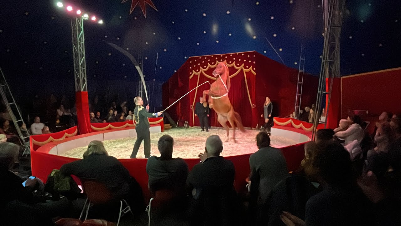 It's all about circus Barani 2023 deel 2