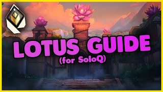 Lotus Guide