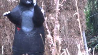 3D Bogenparcour Auf Der Kälbelescheuer Münstertal