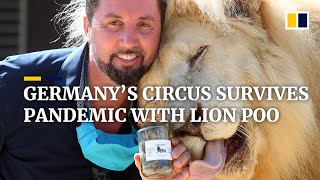 Circus In Germany Survives During The Covid-19 Pandemic By Turning Lion Poo Into D