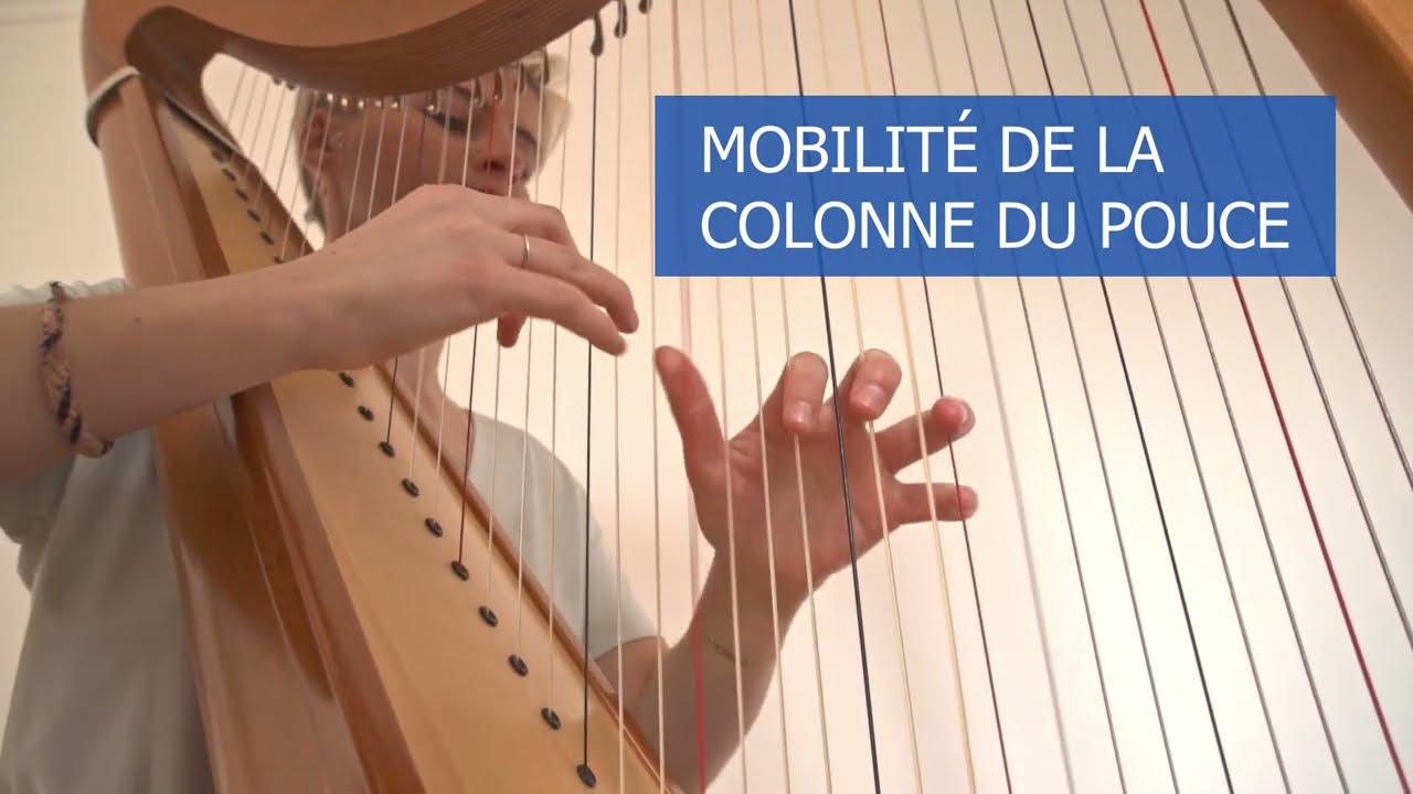 Biomécanique de la main. Tango pour 28 phalanges — Transcript