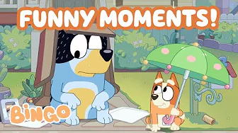 30 MINUTES of Bandit and Chilli's Funniest Moments with Bingo! 🧡 😆 | Bingo - Official Channel
