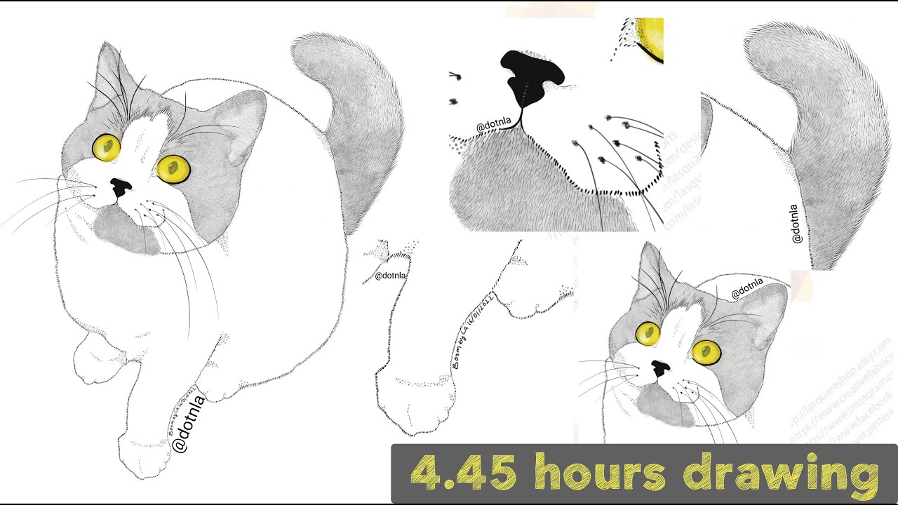 Time-lapse Procreate Cat Pet portrait Digital art Drawing Ipad pro Apple pencil 2 | Dot art La