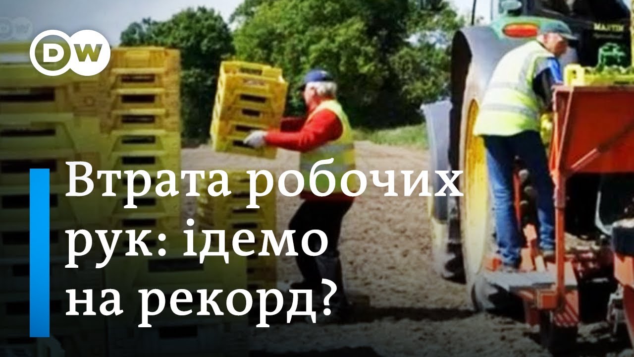 ukrainian boxer Україна може втратити рекордну кількість працівників у 2019 | DW Ukrainian