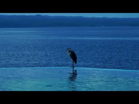 【公式】アルスコンサルタンツ株式会社　ＰＶ（30秒ver.）