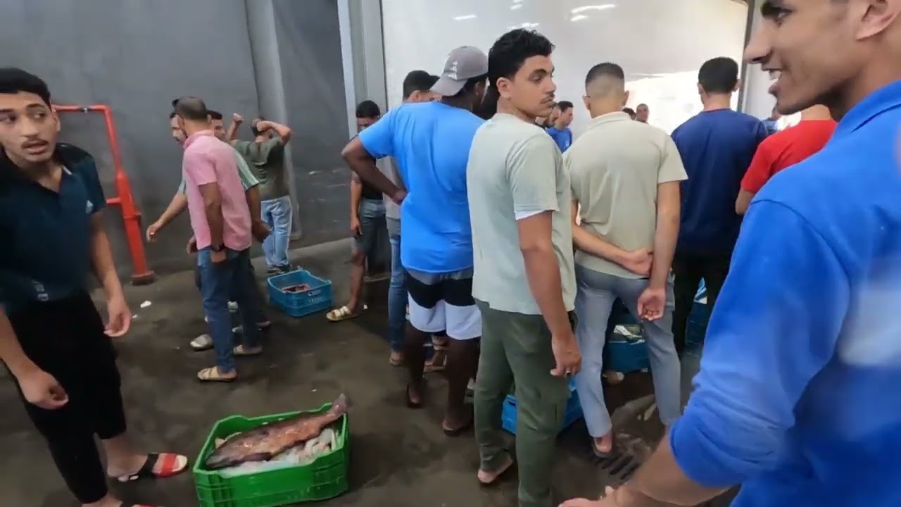 Отдых, Египет, Хургада, рыбный рынок, цены на море продукты, как выглядит город за отелем.