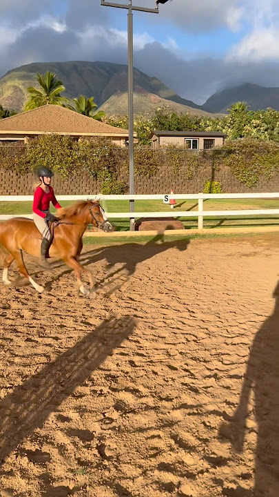Bareback today😛😛