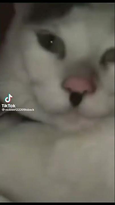 adolf kitler ( song Erika)