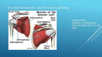Biomechanical Analysis of the pitching motion video