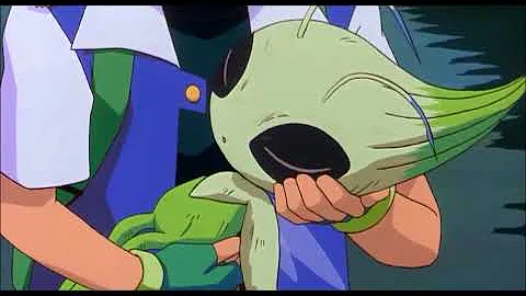 Can you catch Celebi?