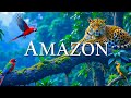 Amazon S Hidden Beauties Tiny Marvels Of Nature Unveiling The Most Beautiful Small Birds On Earth