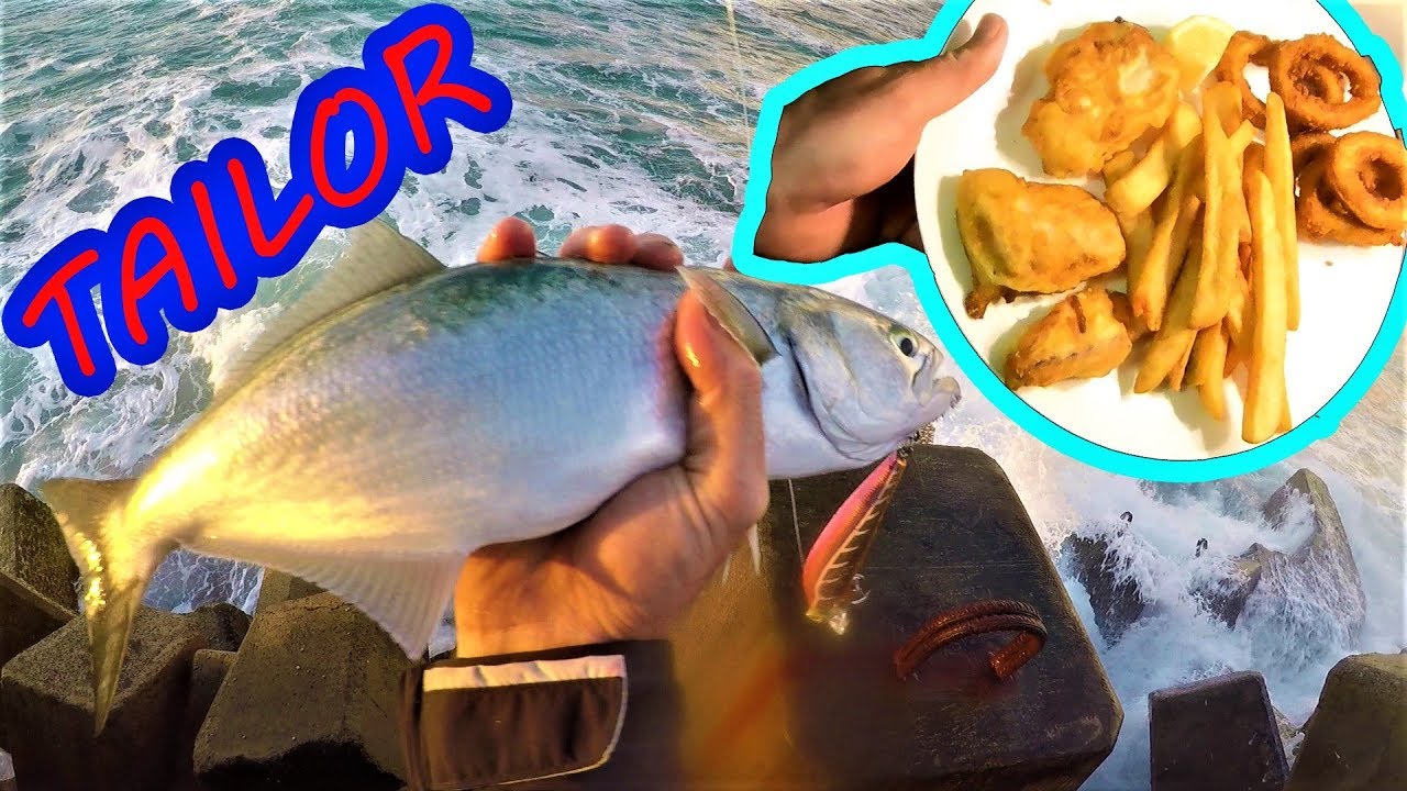 Tailor Catch and Cook - Beer Battered Tailor!