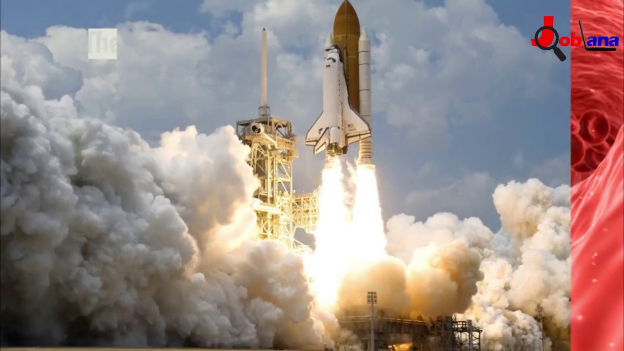 Jobs in Bangalore | NCBS hiring for M.Sc | Apply now on JobLana