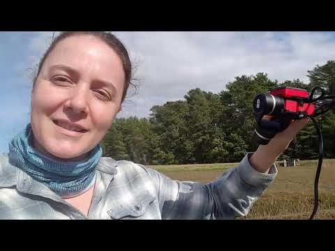 Video: Posjet Cranberry Bogs u Massachusettsu