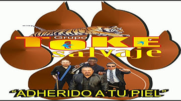 ADHERIDO A TU PIEL  (ORIGINAL)  GRUPO TOKE SALVAJE 2000
